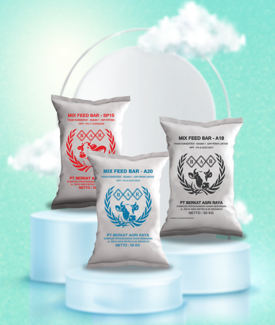 Screenshot 2025-08-01 at 05.04.11 1